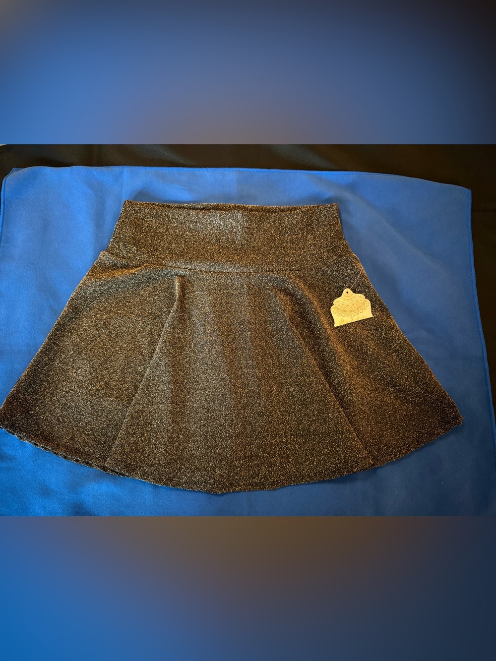 Altar'd State Metallic Black Circle Skirt